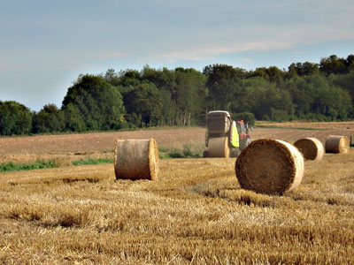 hay bales